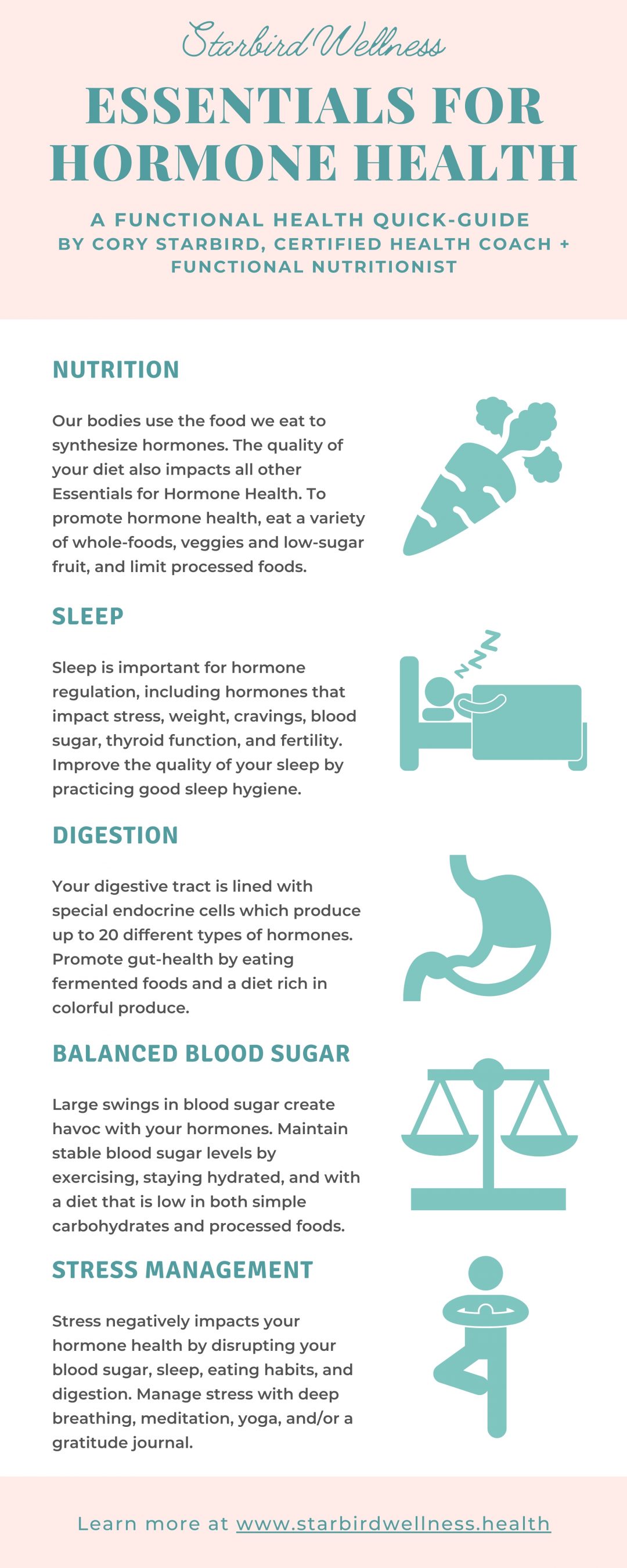 Hormone Health Basics What You Should Know Starbird Wellness