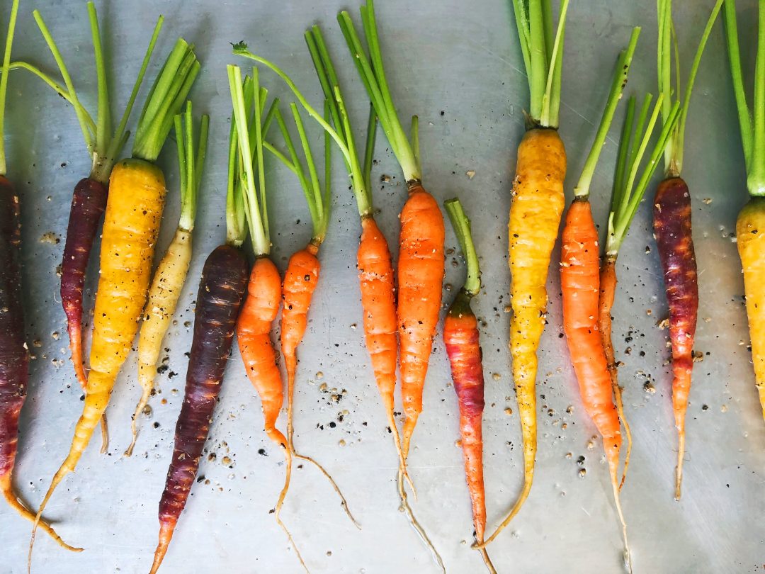 Starbird Wellness Rainbow Carrots for Immune Health 